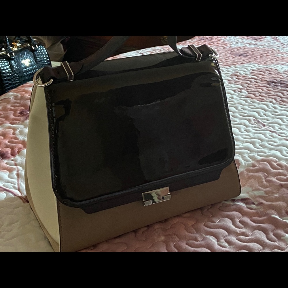 Zara purse